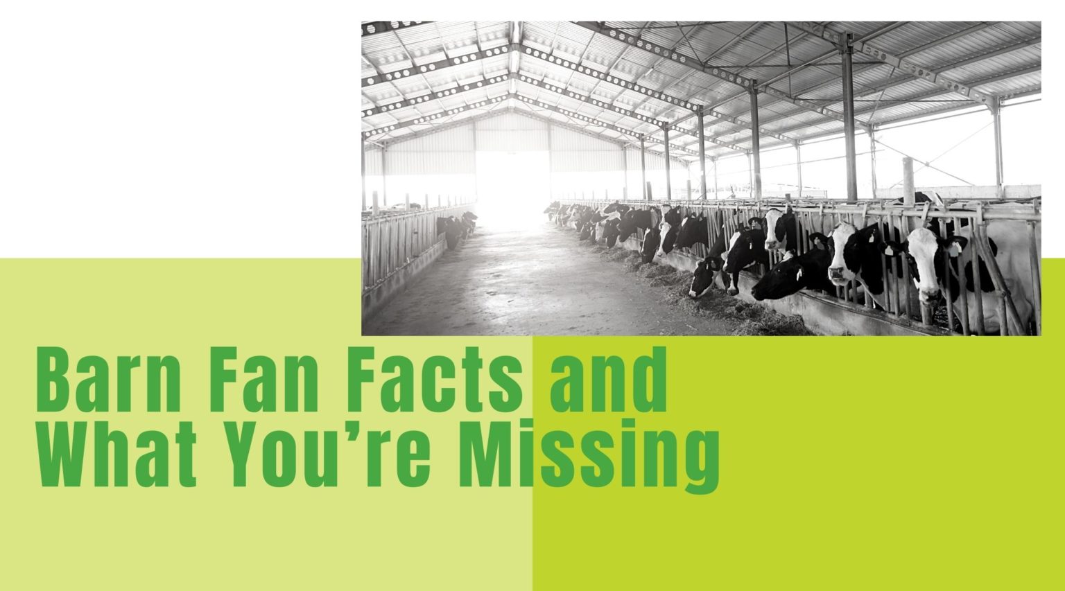 Barn Fan Facts and What You’re Missing